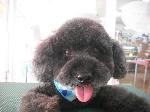 ファイル 263-1.jpg