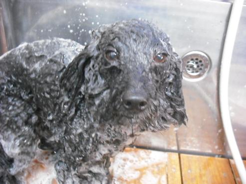 ファイル 263-2.jpg