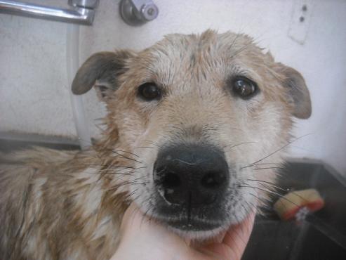 ファイル 2631-2.jpg