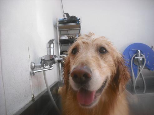 ファイル 2632-2.jpg