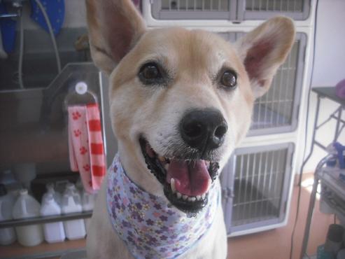 ファイル 2633-1.jpg