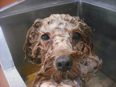 ファイル 2635-2.jpg