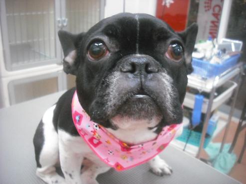 ファイル 2637-1.jpg