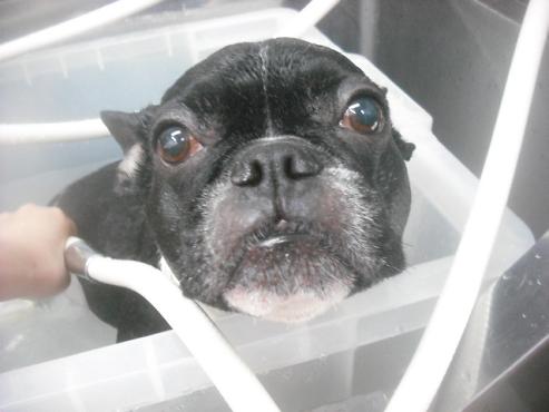 ファイル 2637-2.jpg