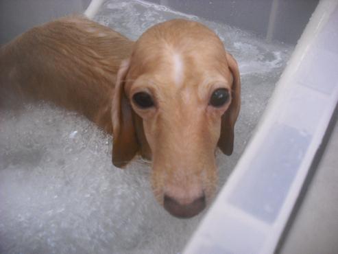 ファイル 2638-2.jpg