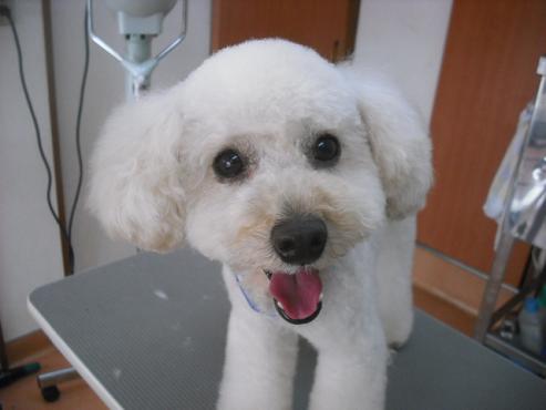 ファイル 264-1.jpg