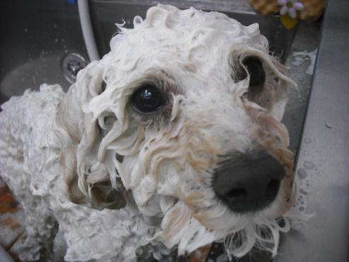 ファイル 264-2.jpg