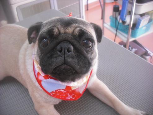 ファイル 2640-1.jpg