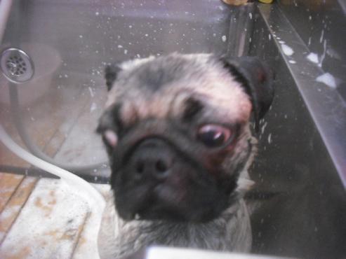 ファイル 2640-2.jpg