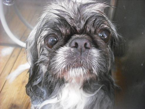 ファイル 2641-2.jpg