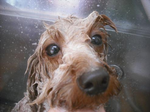 ファイル 2646-2.jpg