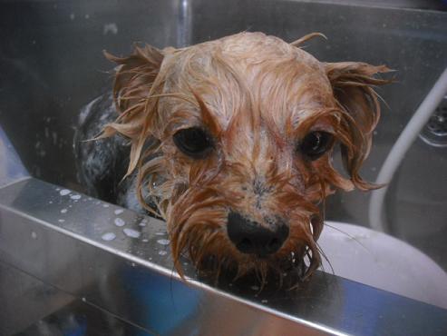 ファイル 2648-2.jpg