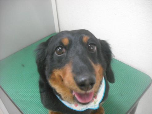 ファイル 2649-1.jpg