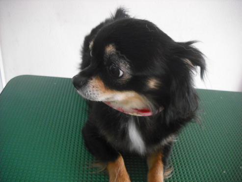 ファイル 265-2.jpg