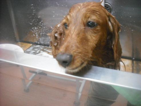 ファイル 2651-2.jpg