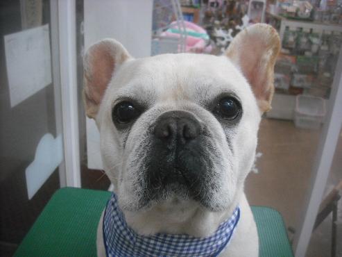 ファイル 2652-1.jpg