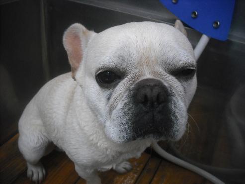 ファイル 2652-2.jpg