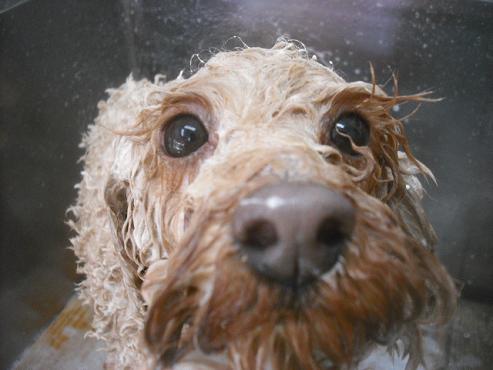 ファイル 2653-2.jpg