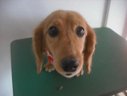 ファイル 2657-1.jpg