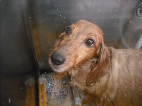 ファイル 2657-2.jpg