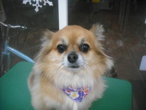 ファイル 2659-1.jpg