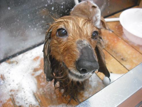 ファイル 266-2.jpg