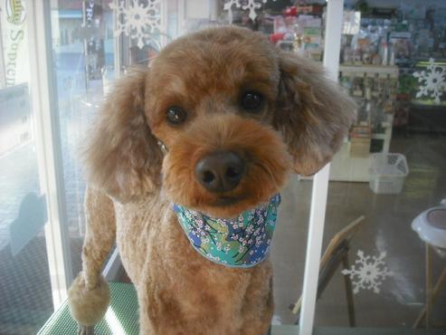 ファイル 2661-1.jpg