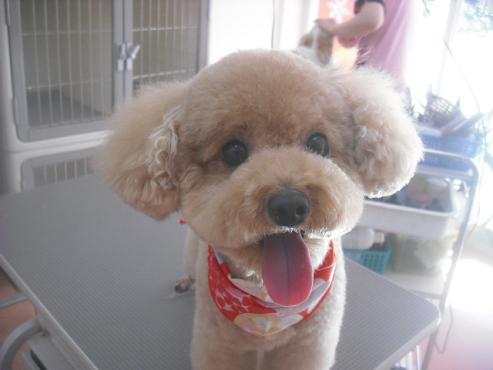 ファイル 2662-1.jpg