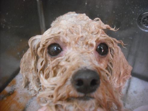 ファイル 2662-2.jpg