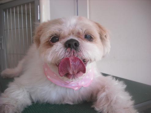 ファイル 2663-1.jpg