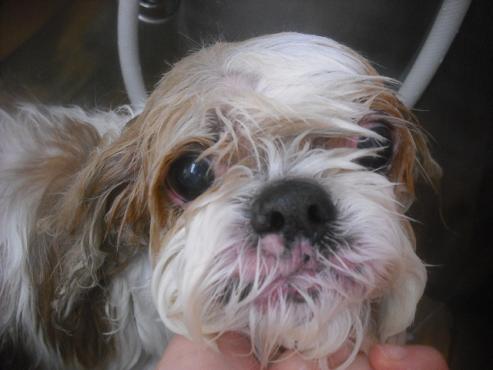 ファイル 2663-2.jpg