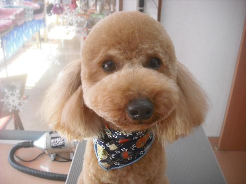 ファイル 2668-1.jpg