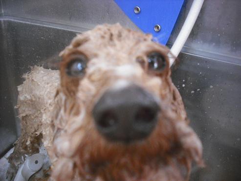 ファイル 2668-2.jpg