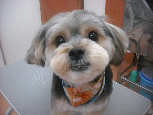 ファイル 2669-1.jpg