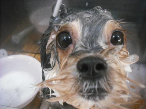 ファイル 2669-2.jpg