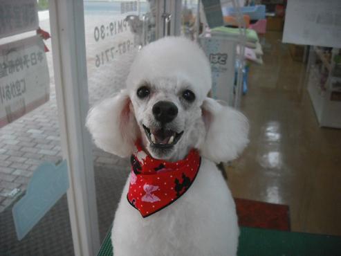 ファイル 267-1.jpg