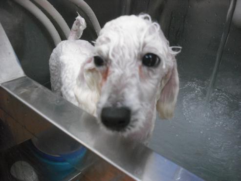 ファイル 267-2.jpg