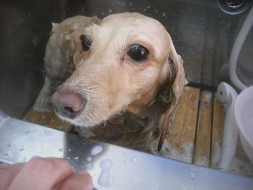 ファイル 2670-2.jpg