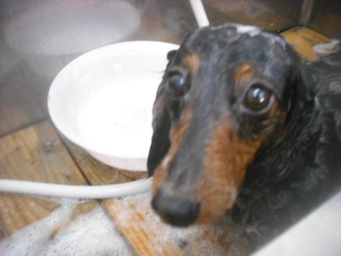 ファイル 2671-2.jpg