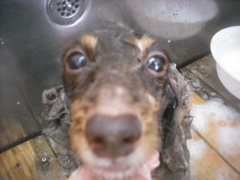 ファイル 2672-2.jpg