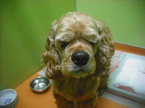 ファイル 2673-1.jpg