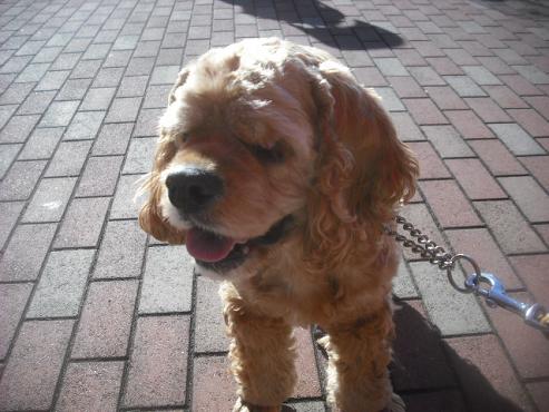 ファイル 2673-2.jpg