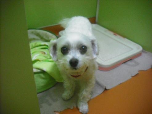 ファイル 2674-1.jpg