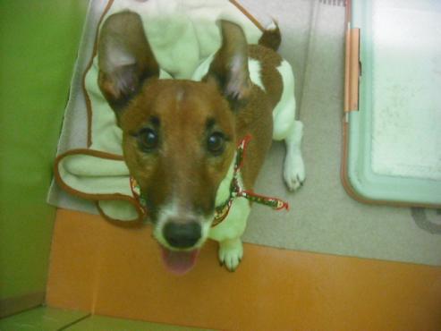 ファイル 2676-2.jpg