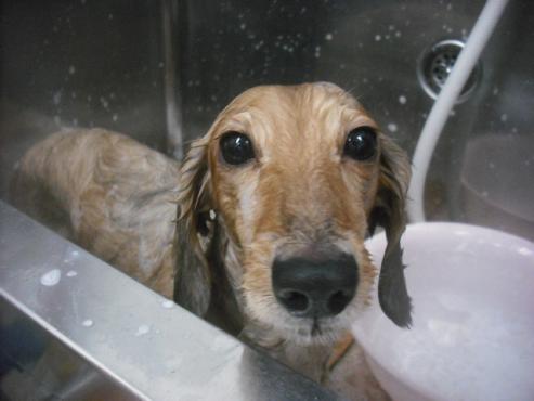 ファイル 2681-2.jpg