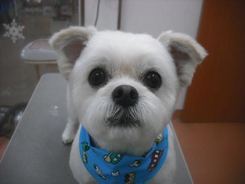 ファイル 2682-1.jpg