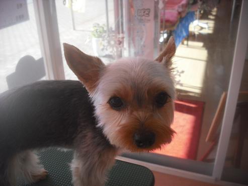 ファイル 2683-2.jpg