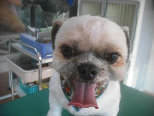 ファイル 2684-1.jpg