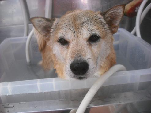 ファイル 2689-2.jpg