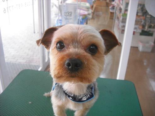 ファイル 269-1.jpg